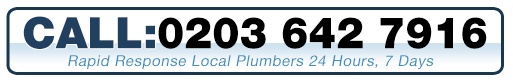 Click to call Southfields Plumbers
